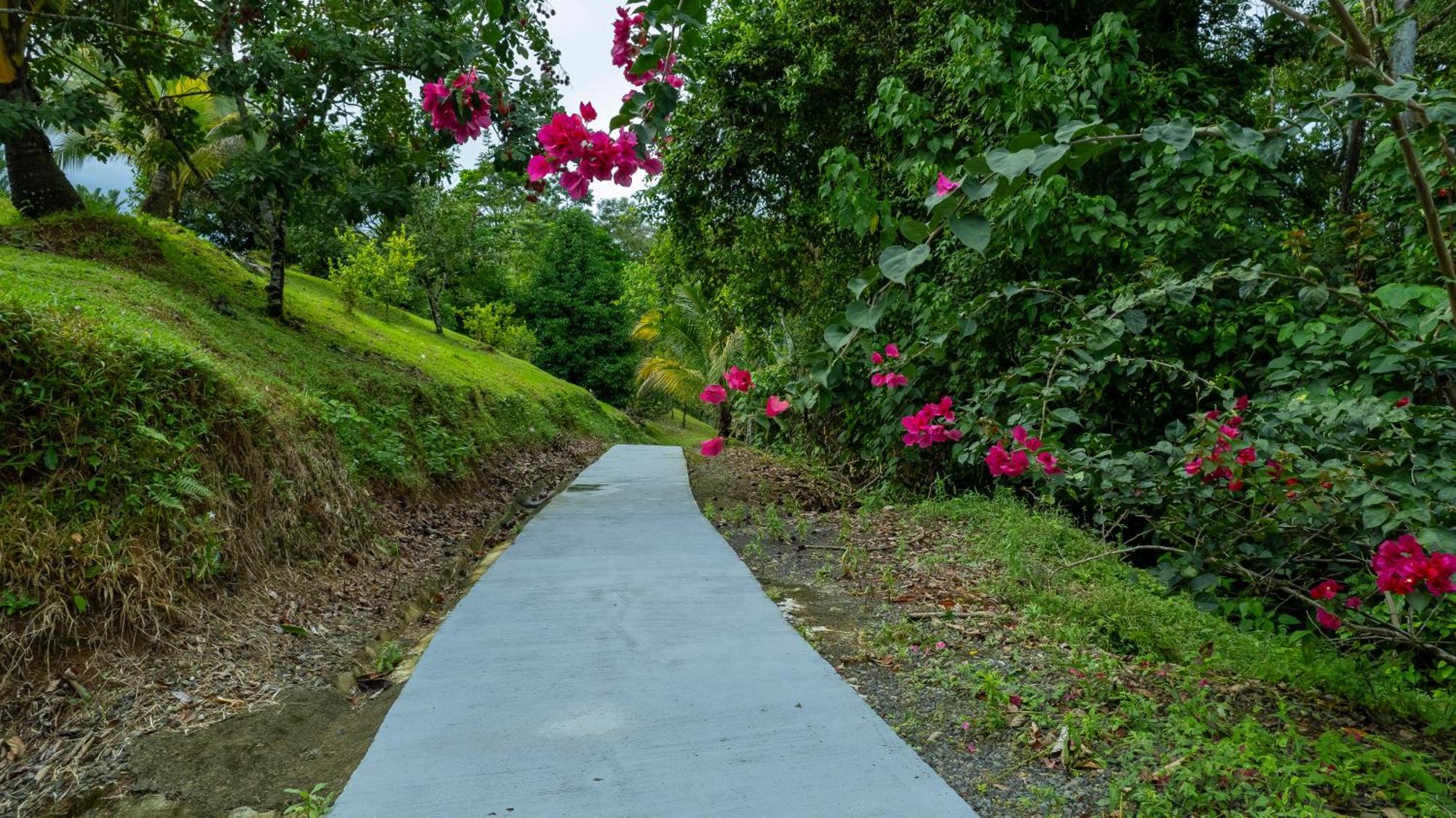 La Fortuna Serenity Rainforest Condos المظهر الخارجي الصورة